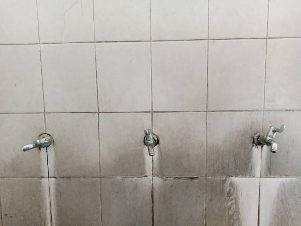 Best Carpet water damage restoration  in Inverness, CO