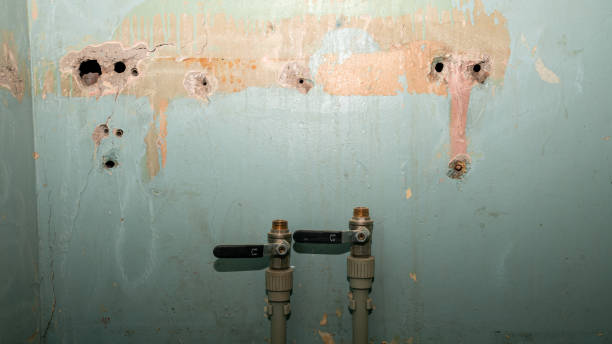 Best Basement water damage restoration  in Inverness, CO