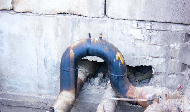 Best Sewage cleanup and water damage restoration  in Inverness, CO