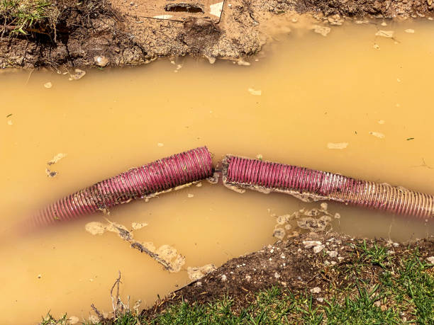 Carpet water damage restoration in CO